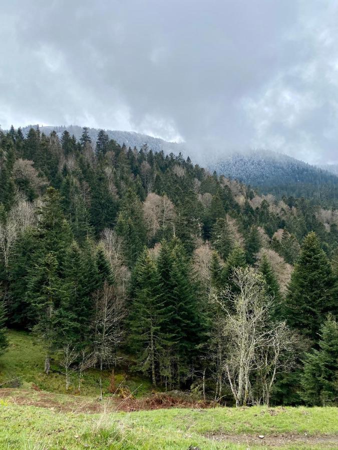 A 1400m - Station Du Mourtis * Boutx